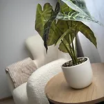 Apartment Cosy Flat In Near & Center