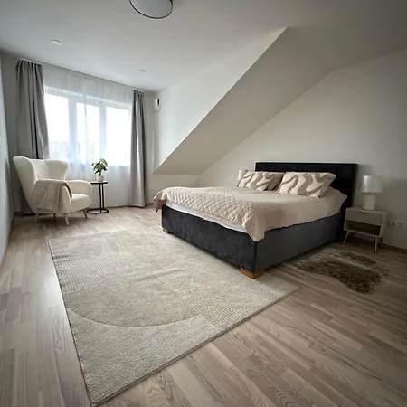 Cosy Flat In Near & Center * 派尔努