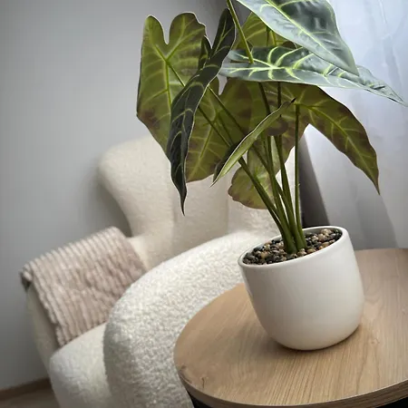 Apartment Cosy Flat In Near & Center